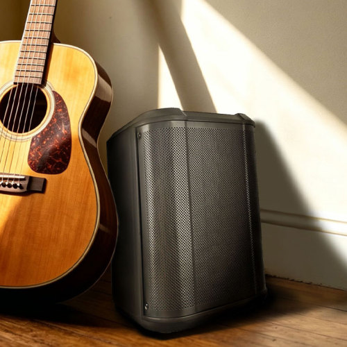 Caja de subwoofer de plástico vs. subwoofer PA de madera: cómo deben elegir los mayoristas de altavoces