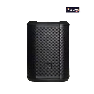 Portable Powered PA Pro Speaker With Bluetooth and Wireless Micophones