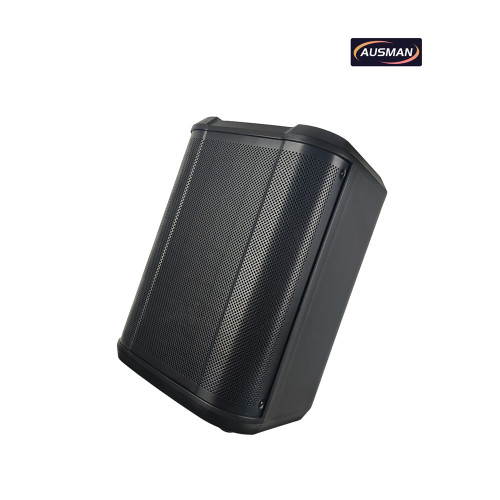 Portable Powered PA Pro Speaker With Bluetooth and Wireless Micophones