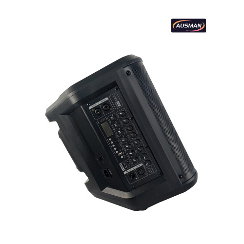 Portable Powered PA Pro Speaker With Bluetooth and Wireless Micophones