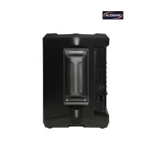 Portable Powered PA Pro Speaker With Bluetooth and Wireless Micophones