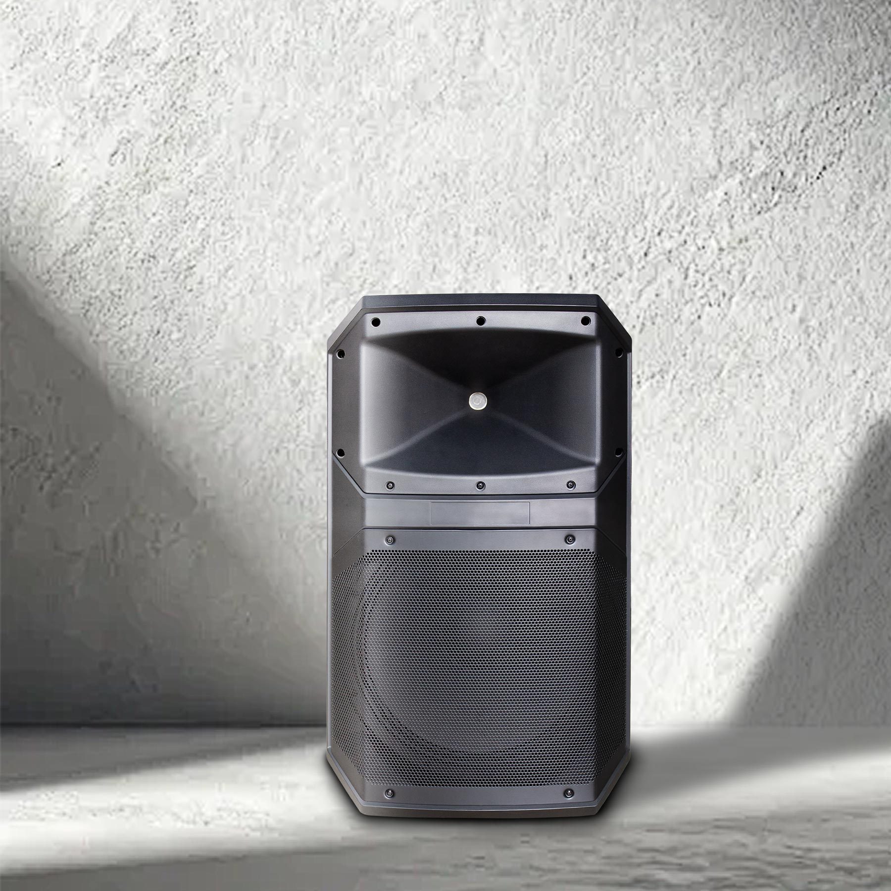Professional Audio Procurement Guide: How to Choose the Right Professional Loudspeaker & Battery PA System