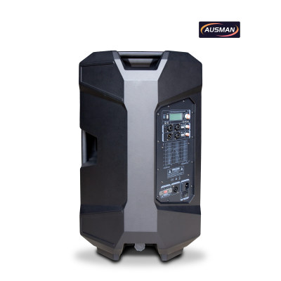High-Power Pro Audio Solutions for Global Brands and OEM/ODM Professional Loudspeaker