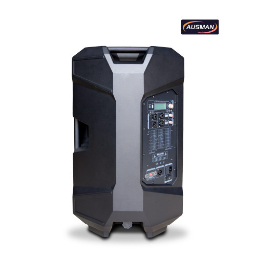 High-Power Pro Audio Solutions for Global Brands and OEM/ODM Professional Loudspeaker