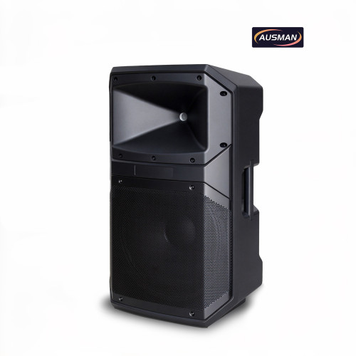 High-Power Pro Audio Solutions for Global Brands and OEM/ODM Professional Loudspeaker