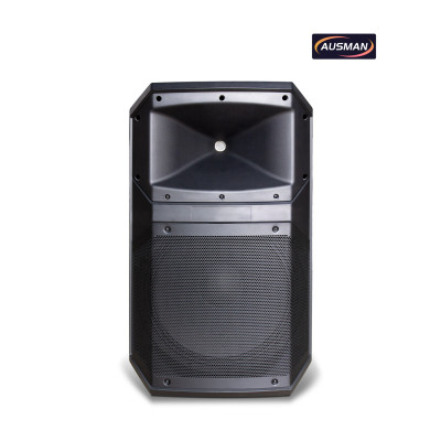 High-Power Pro Audio Solutions for Global Brands and OEM/ODM Professional Loudspeaker