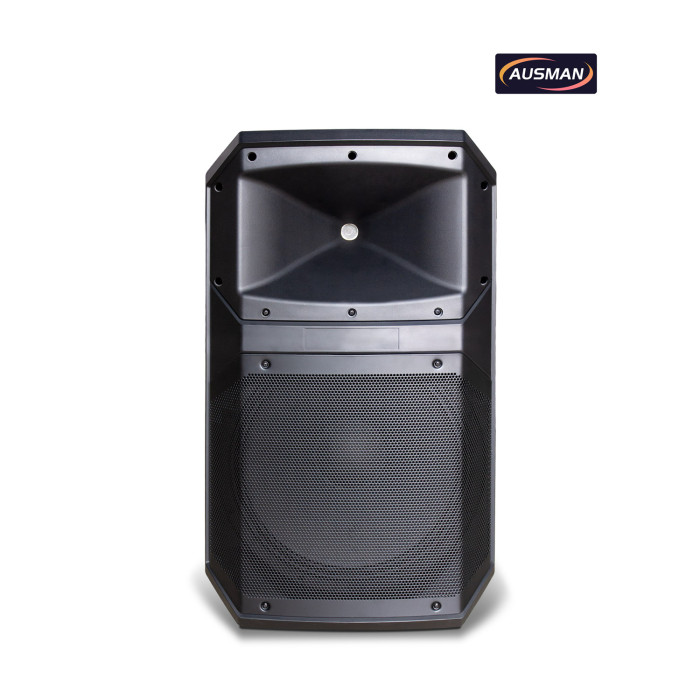 High-Power Pro Audio Solutions for Global Brands and OEM/ODM Professional Loudspeaker