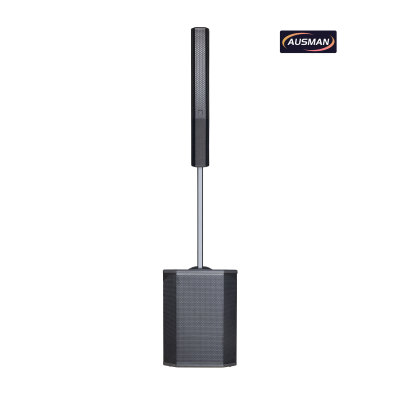 Powerful Column Array PA System with 15 Inch Speaker Column