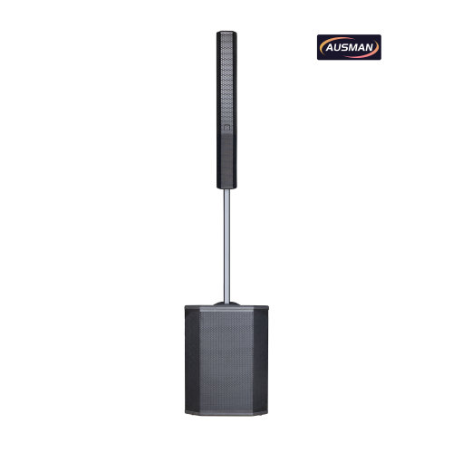 Powerful Column Array PA System with 15 Inch Speaker Column