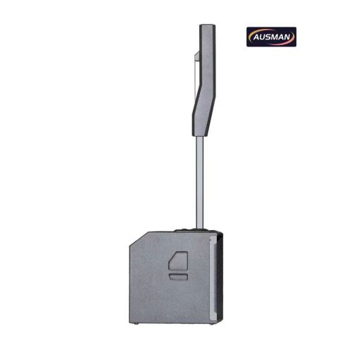 Powerful Column Array PA System with 15 Inch Speaker Column
