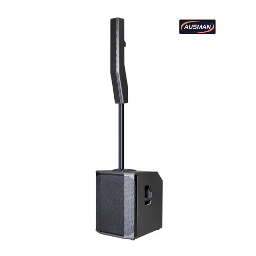 Powerful Column Array PA System with 15 Inch Speaker Column