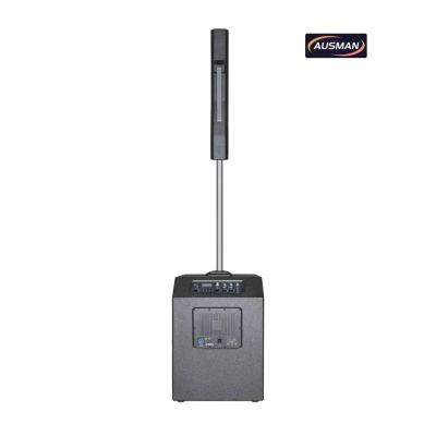 Powerful Column Array PA System with 15 Inch Speaker Column