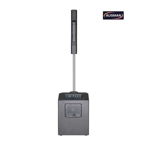 Powerful Column Array PA System with 15 Inch Speaker Column