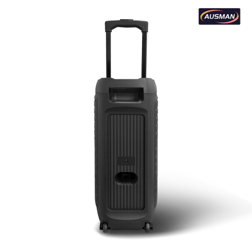 Portable Party Speakers From Audio Manufacturer China