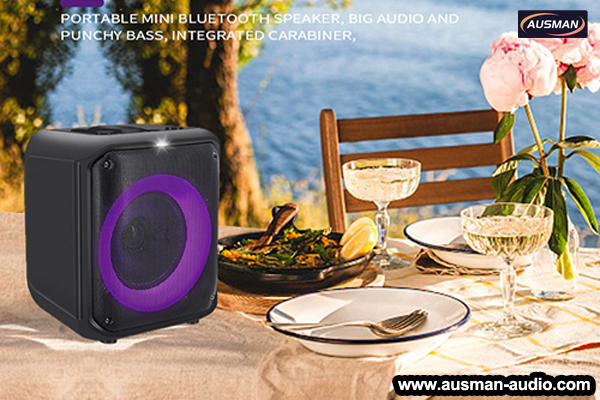 Bring portable speakers for a picnic with the family