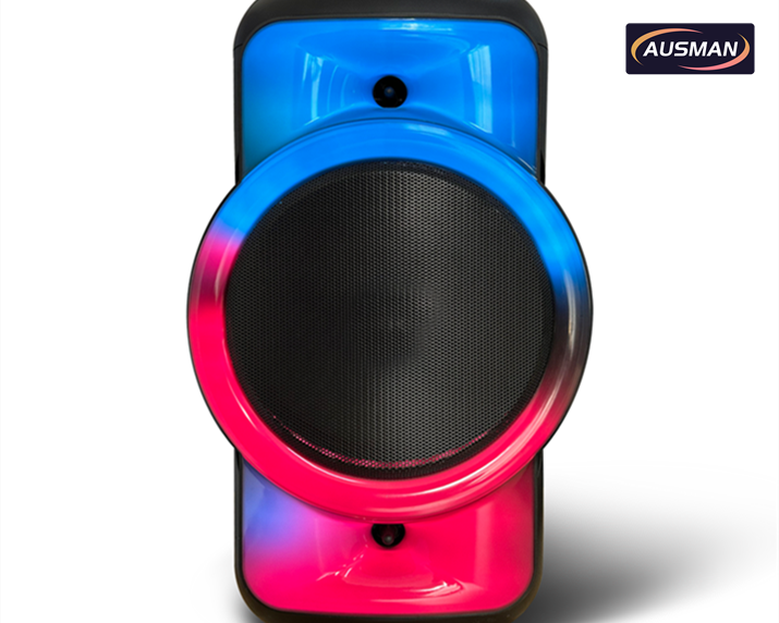 Sistema de altavoces Bluetooth para exteriores personalizado AS-0813