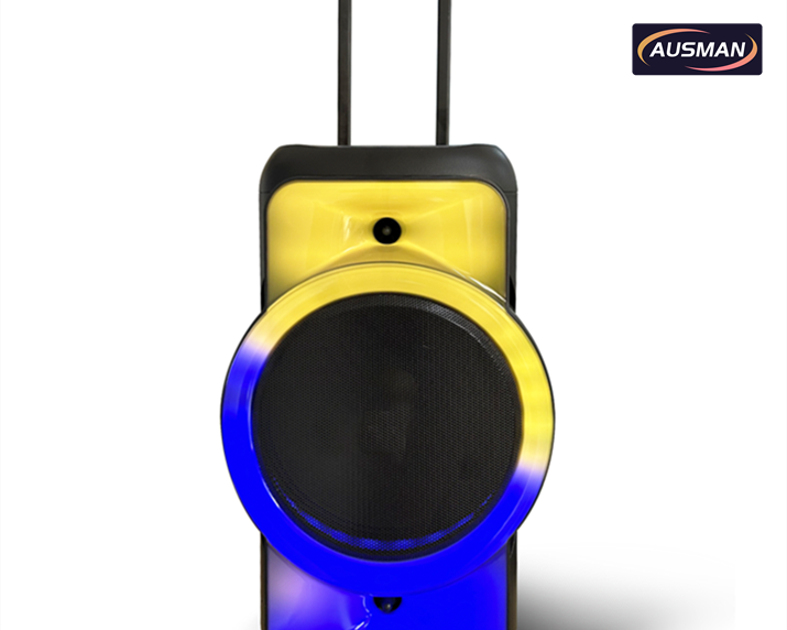 Custom Outdoor Bluetooth Speaker System AS-0813-1