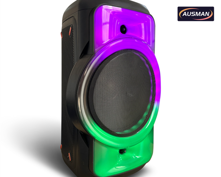 Custom Outdoor Bluetooth Speaker System AS-0813-2