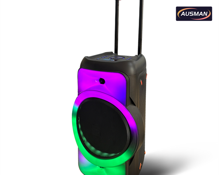 Sistema de altavoces Bluetooth para exteriores personalizado AS-0813 con amplificador multimedia