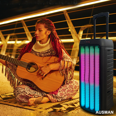 What is The Portable Speaker and Its History?