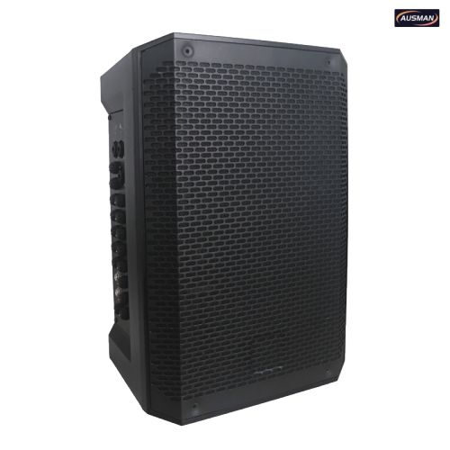 Wireless Multi-functional Portable PA System for OEM Wholesale