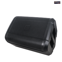 PA Subwoofer with Unique Speaker Design Suit Major Events