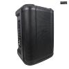 PA Subwoofer with Unique Speaker Design Suit Major Events