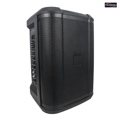 PA Subwoofer with Unique Speaker Design Suit Major Events