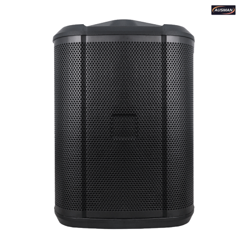 PA Subwoofer with Unique Speaker Design Suit Major Events