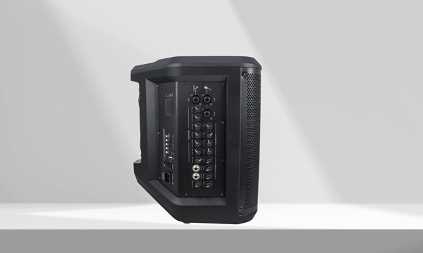 Portable PA System AS-219