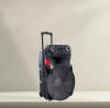 Unveiling Why Portable Trolley Speaker With Wireless Microphone Is So Popular