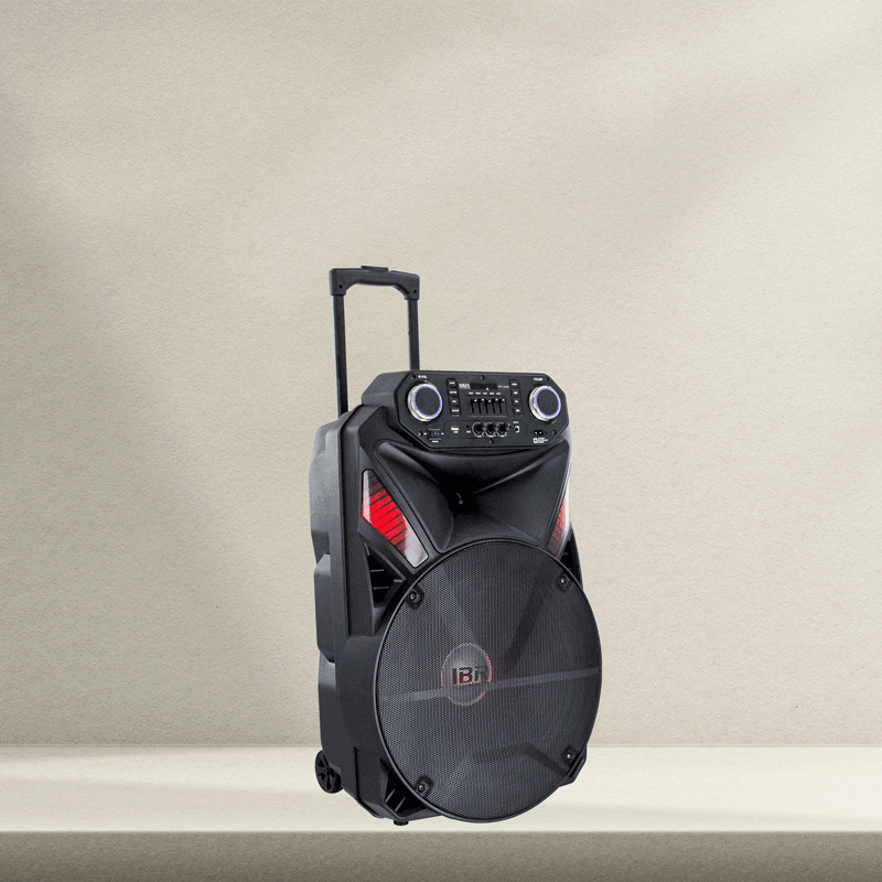 Unveiling Why Portable Trolley Speaker With Wireless Microphone Is So Popular