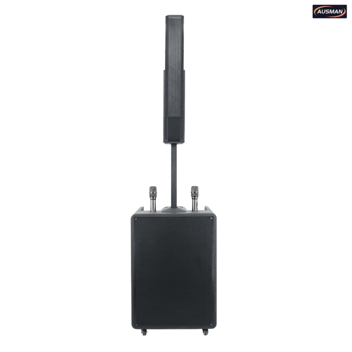 Battery Powered PA System Column Loudspeaker and PA Subwoofer Custom Design
