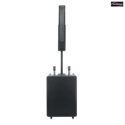 Battery Powered PA System Column Loudspeaker and PA Subwoofer Custom Design