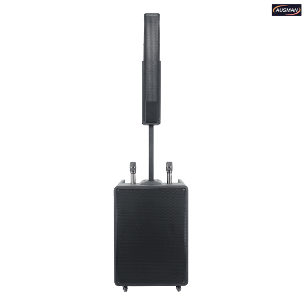 Battery Powered PA System Column Loudspeaker and PA Subwoofer Custom Design