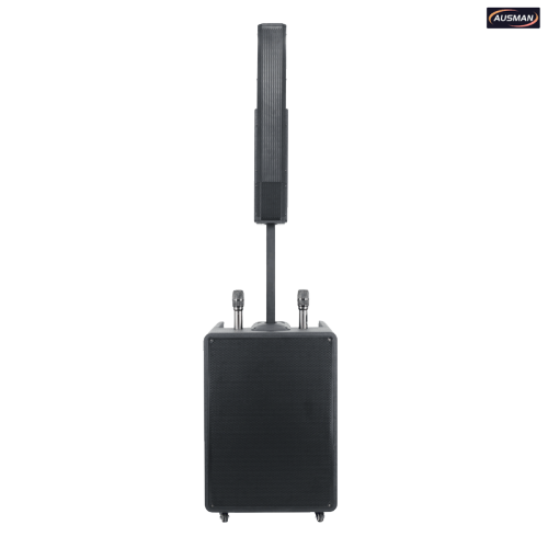 Sistema de PA alimentado por batería, altavoz de columna y subwoofer PA, diseño personalizado