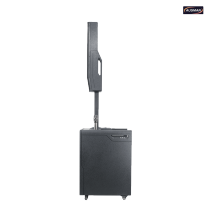 Battery Powered PA System Column Loudspeaker and PA Subwoofer Custom Design