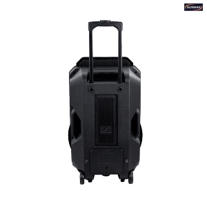 High-power Battery Bluetooth Trolley Speaker With Karaoke Wholesale