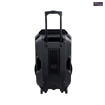 High-power Battery Bluetooth Trolley Speaker With Karaoke Wholesale