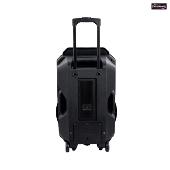 High-power Battery Bluetooth Trolley Speaker With Karaoke Wholesale