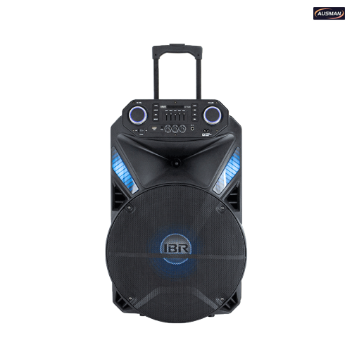 Altavoz Bluetooth con batería de alta potencia y karaoke al por mayor