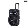 Multi-function Portable Professional Battery Trolley Speaker