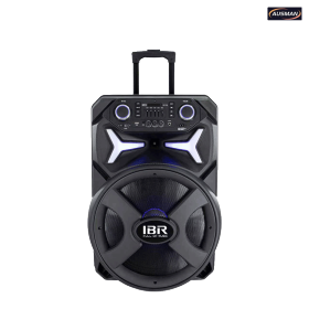 Multi-function Portable Professional Battery Trolley Speaker