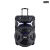 Multi-function Portable Professional Battery Trolley Speaker
