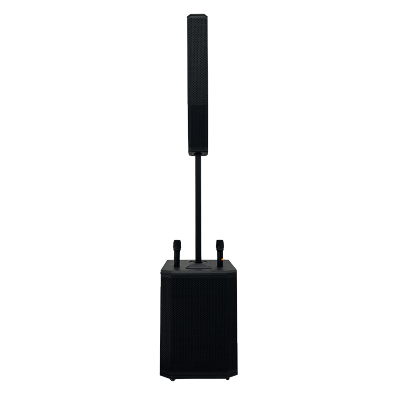 Professional Powered Speaker With Excellent Live PA System