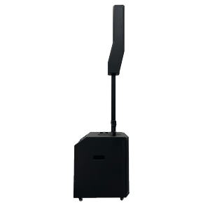 Professional Powered Speaker With Excellent Live PA System