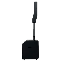 Professional Powered Speaker With Excellent Live PA System