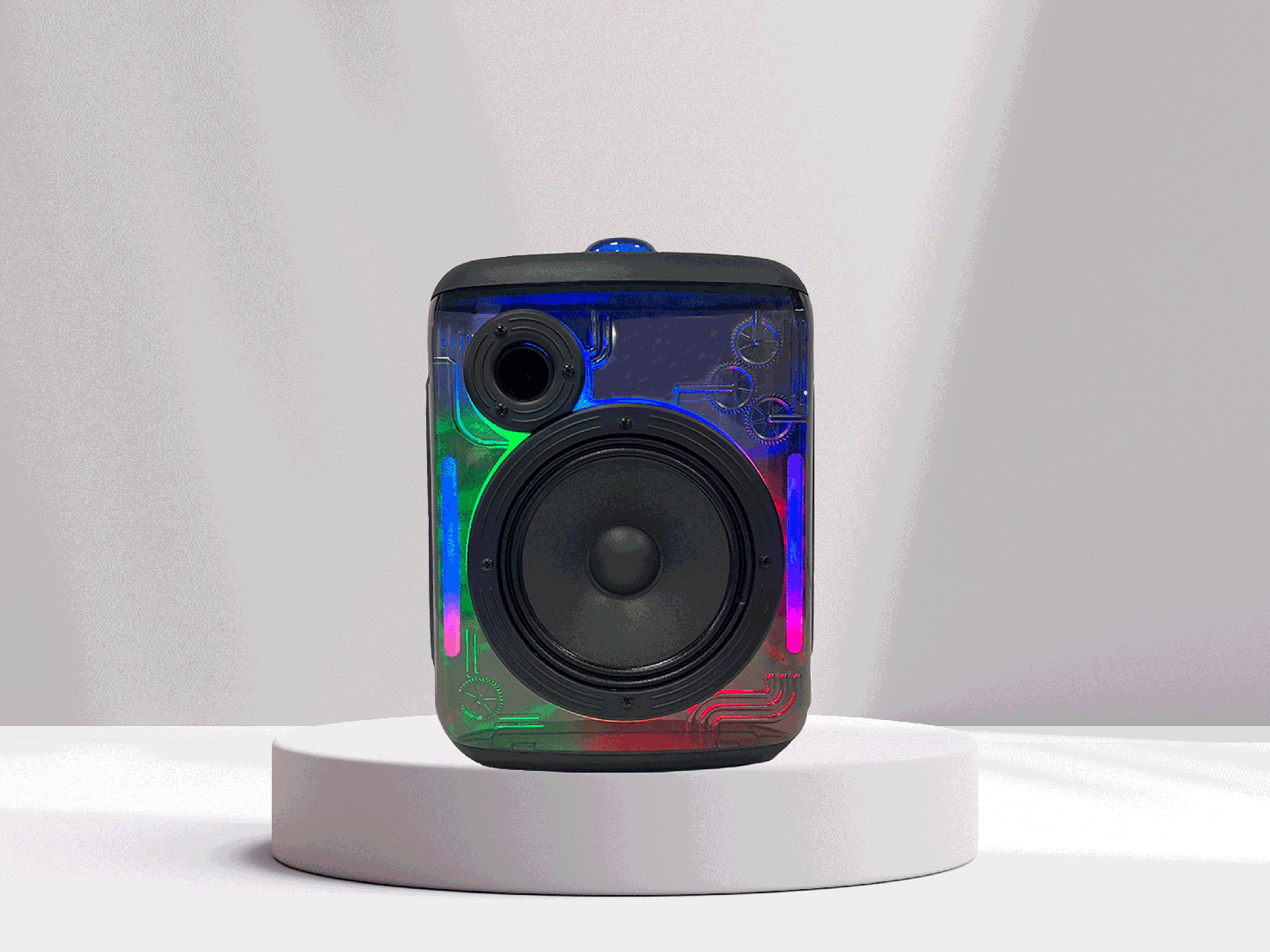 Bluetooth Speaker with Handle AS-PT102