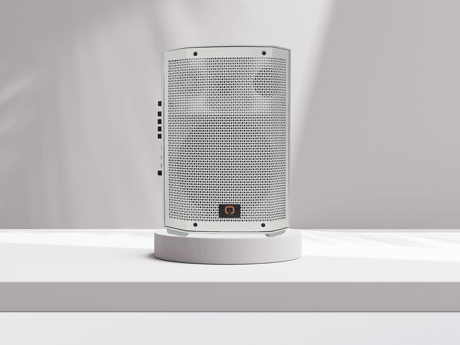 portable wireless speaker
