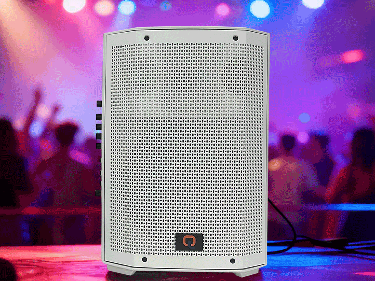 Portable Bluetooth Speaker